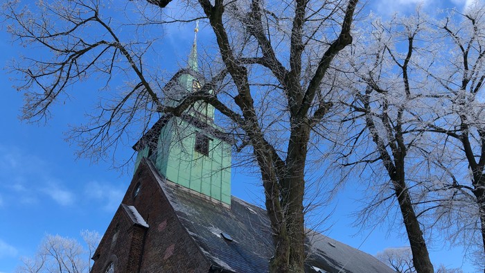 Kirchengebäude mit grünem Turm und kahlen Bäumen vor blauem Himmel