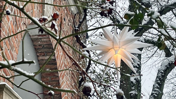 Weihnachtsstern an einem schneebedeckten Baum