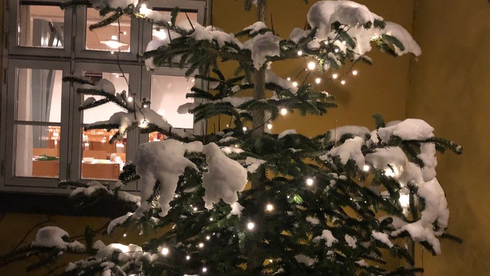 Juletræ pyntet med lys og hvide dekorationer inde i et rum.