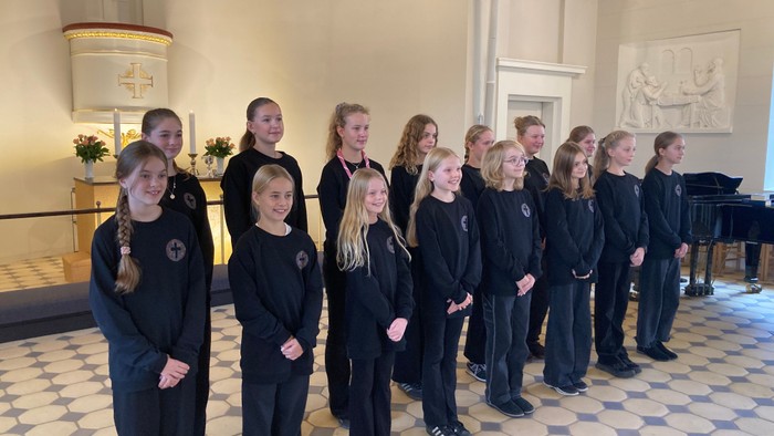 Gruppe af unge mennesker i sorte outfits, der poser sammen i et prægtigt rum.