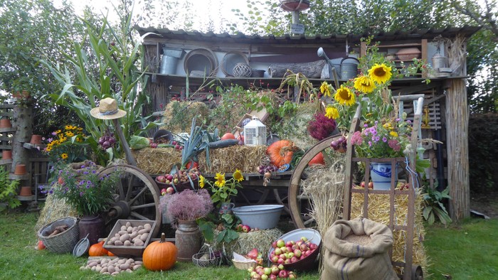 Erntewagen: Schmuck beim Herbstschmausfest Weickartshain