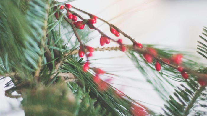 Advent