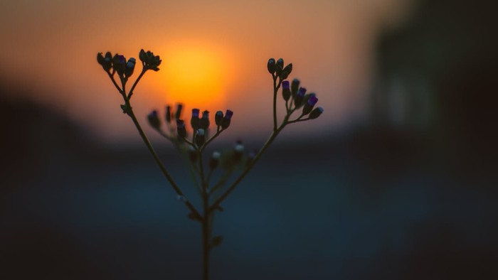 Morgenstimmung, Sonnenaufgang