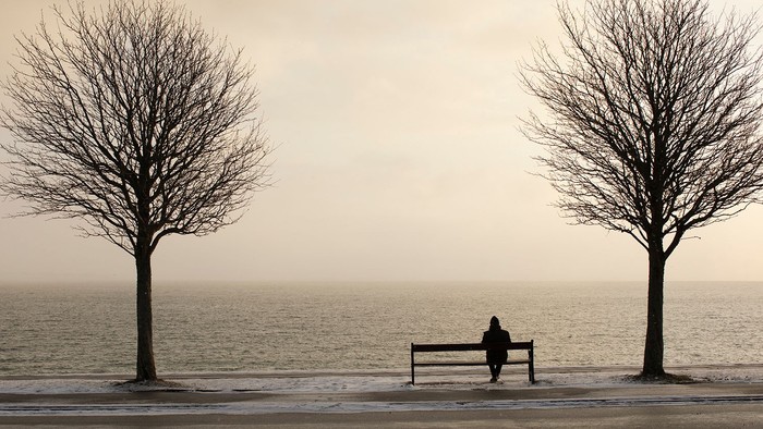 En ensom skikkelse sidder på en bænk mellem to bare træer nær vandet.