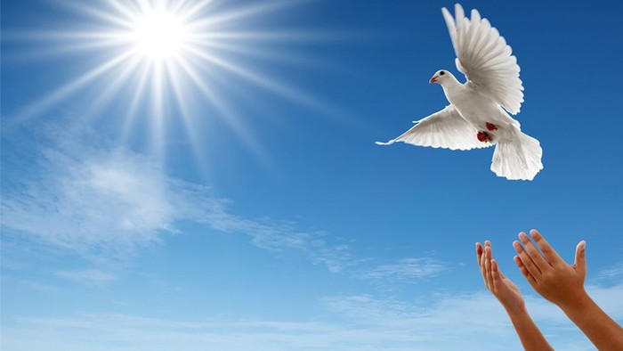 Ein weißer Vogel fliegt am klaren blauen Himmel mit Sonnenstrahlen und ausgestreckten Händen.