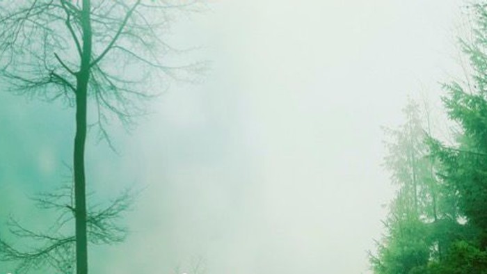 Chorkonzert zur WALPURGISNACHT