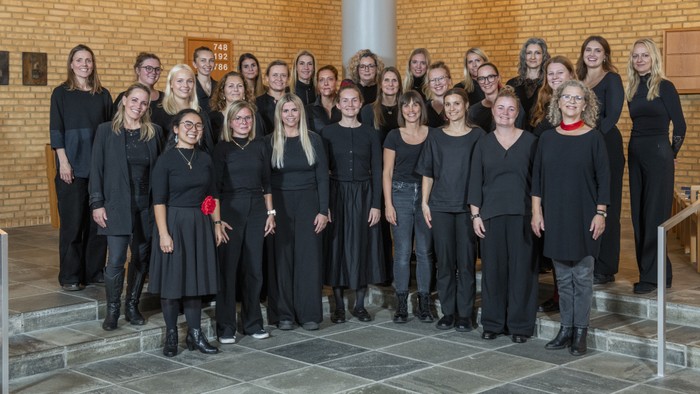 Gruppe af kvinder i sort påklædning, der poser sammen i et rum.