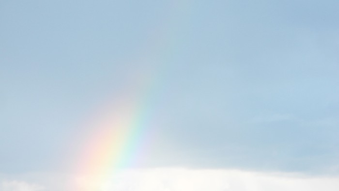 Regenbogen
