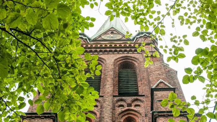 Der Kirchtrum von St. Nikolai vom Eingang aus nach oben fotografiert.