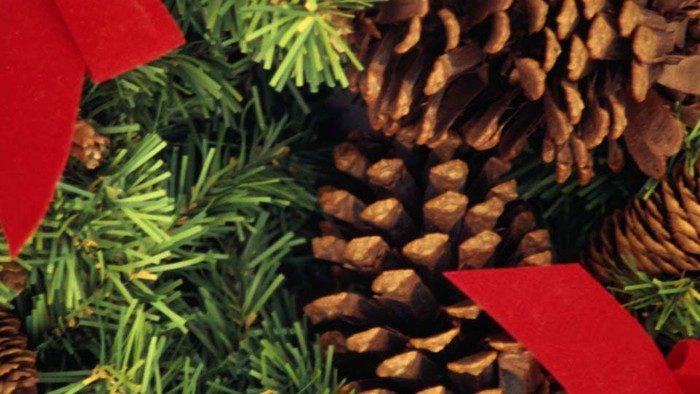 Kiefernzapfen, Tannenzweige und rote Schleifen