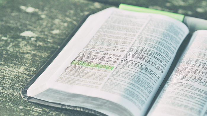 Offenes Buch auf grünem Hintergrund