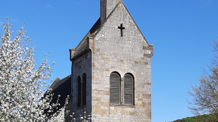 Kirche mit Wiese davor, blühendem Kirschbaum links und blauem Himmel
