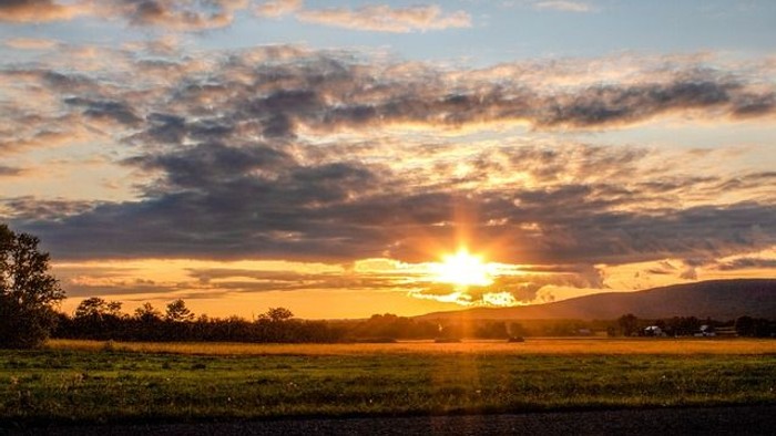 En solopgang over en åben mark med spredte træer og en skov i baggrunden