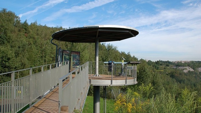 Erhöhter Holzsteg mit Baldachin und Aussichtsplattform inmitten üppiger grüner Waldlandschaft.