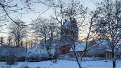 En snødekt hage med et træ og en hytte i baggrunden