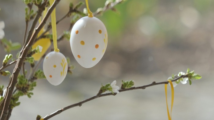 Verzierte Ostereier, die an blühenden Baumzweigen mit zarten weißen Blüten hängen.