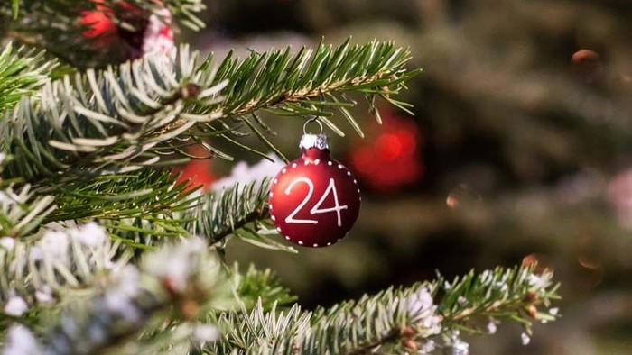 Ein Weihnachtsbaumzweig mit einer roten Kugel, auf der die Zahl 24 steht