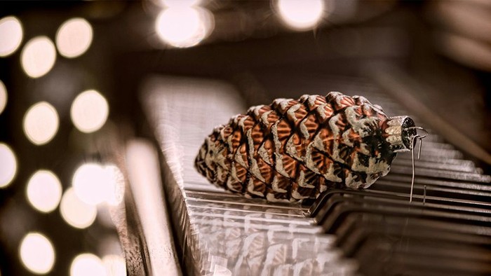 Tannenzapfen liegt auf Klaviertasten