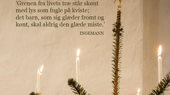 Hånd, der holder juletræ med tændte stearinlys og stjerne i toppen, med et dansk citat.