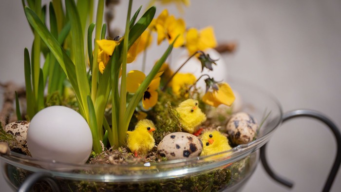 En charmerende glasterrarium med påskeæg, gule blomster og små kyllingefigurer indbydende placeret i mos.