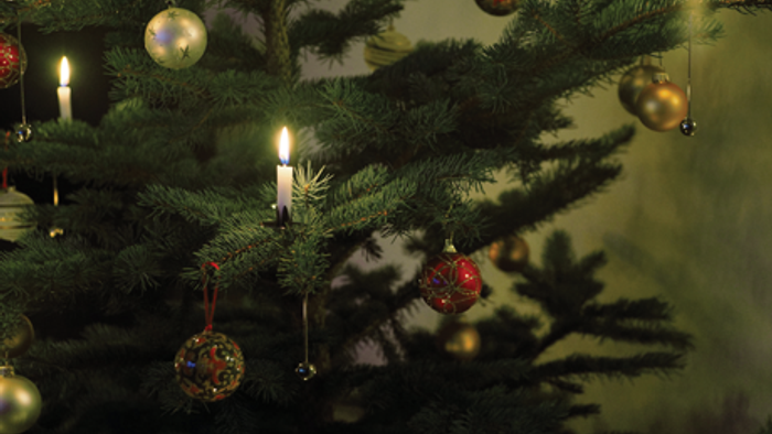 En juletree med lysende lygter og pynt.