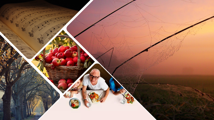 Billedet er en collage af fem billeder. Der er billede af nogen, der spiser, noder, æbler, falmede træer og et spindelvæv en diset morgenrøde.