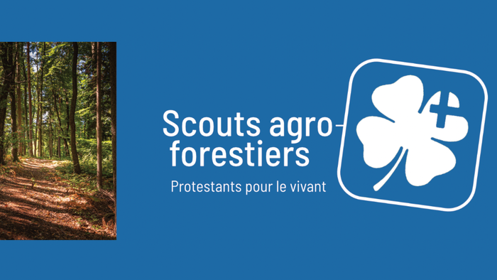 Scouts agro-forestiers, engagés pour la protection de la forêt