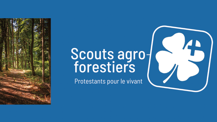 Scouts agro-forestiers, engagés pour la protection de la forêt