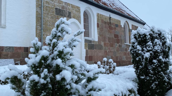 Sneedeckede træer foran kirke