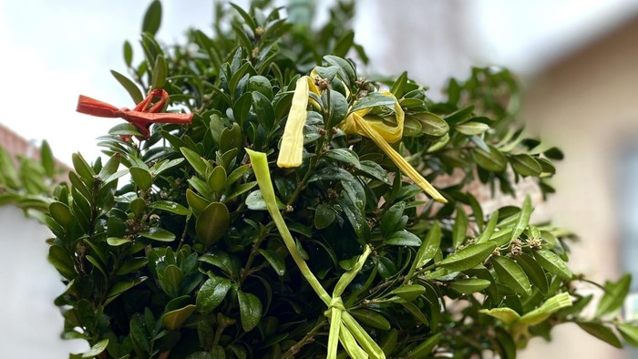 Geschmückter Palmstock für Palmsonntag