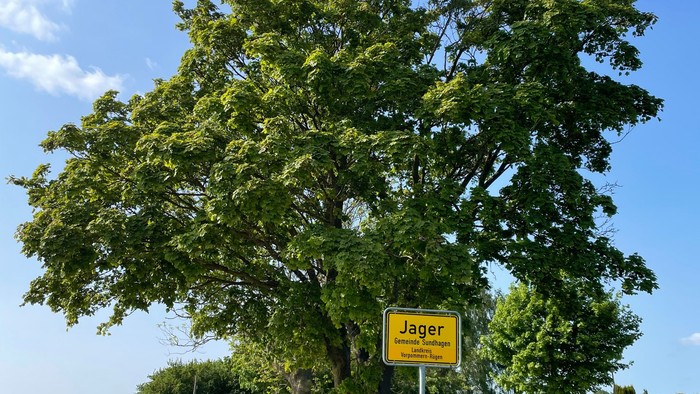 Ein Baum steht neben einem gelben Straßenschild mit der Aufschrift 