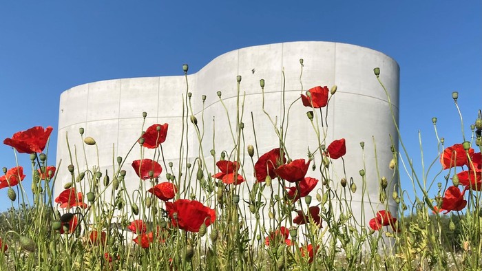 Røde valmuer foran store, hvide betonstrukturer under blå himmel