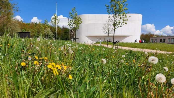 En grøn og blomstret mark med et moderne, hvide bygning i baggrunden