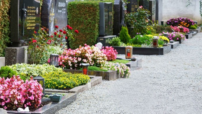 Blumen in Töpfen entlang eines Kopfsteinpflasters
