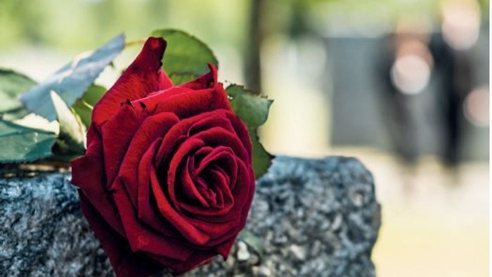 Rose auf Stein liegend