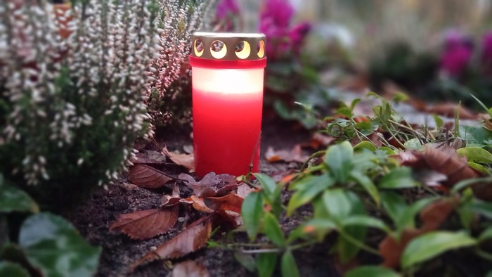 Eine rote Kerze steht inmitten von Blättern und weißen Blüten.