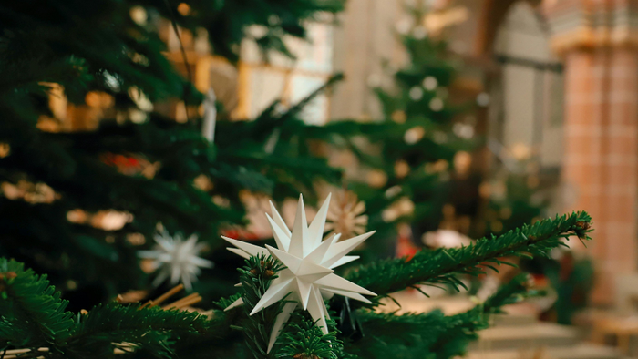Weihnachtsbaum mit weißen Sternendekorationen in einem Gebäude.