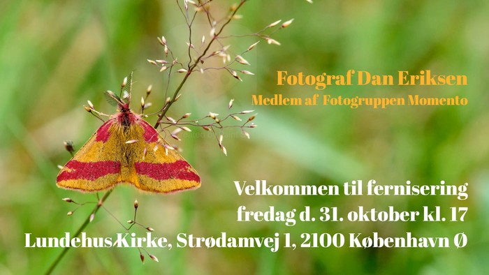 Landskab & Natur udstilling i Lundehus Kirke, 1. 30. november 2025. Fotograf Dan Eriksen.