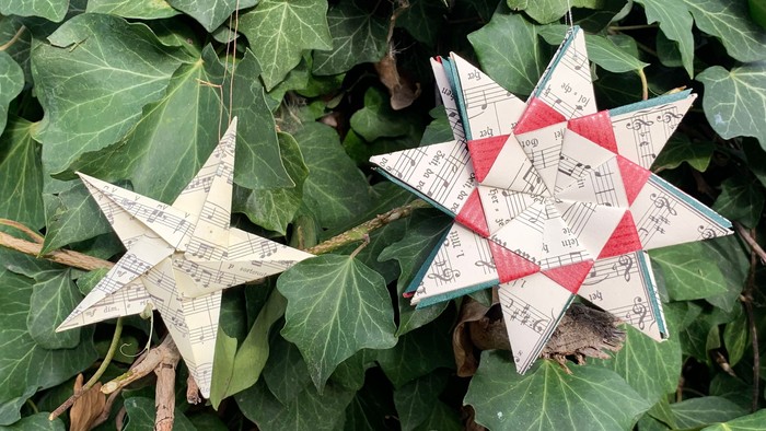 Zwei Papiersterne hängen in üppigem grünem Efeu.