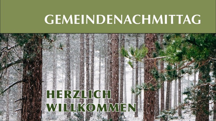 Gemeindenachmittag mit herzlichem Willkommen im verschneiten Wald