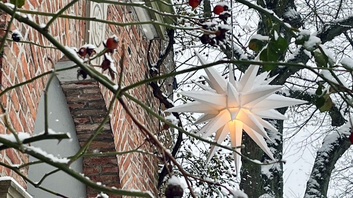 Weihnachtsstern an einem schneebedeckten Baum