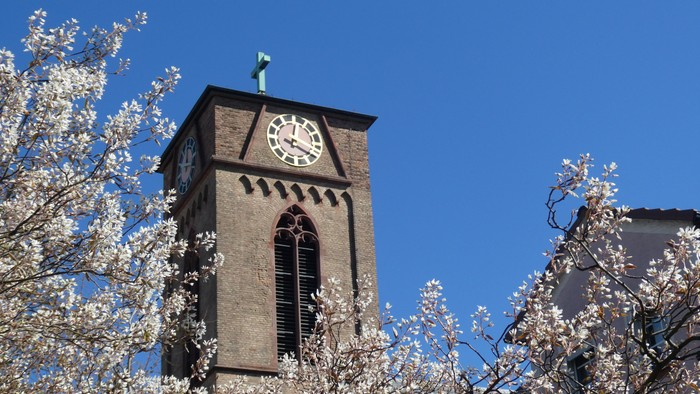 Ein Ziegeluhrenturm mit weißer Kirschblüte im Vordergrund