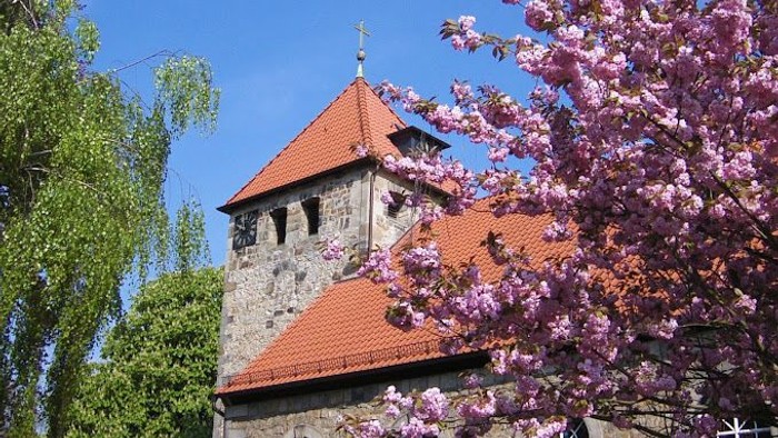 Buntes Kirschblütenbild vor alter Kirche