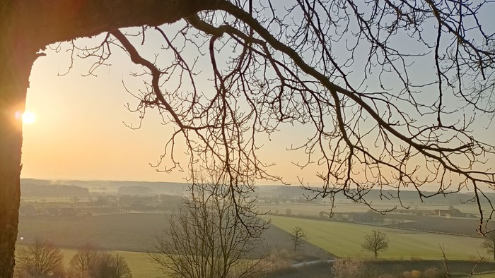 Ausblick über hügelige grüne Wiesen und Felder. Hinter einem Baum scheint die Morgensonne