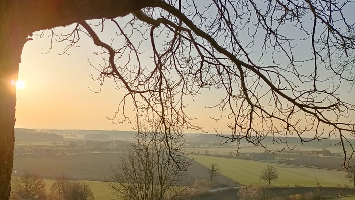 Ausblick über hügelige grüne Wiesen und Felder. Hinter einem Baum scheint die Morgensonne
