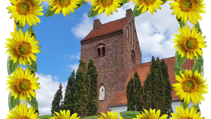 En charmerende murstenskirke omkranset af livlige gule solsikker under en klar himmel.