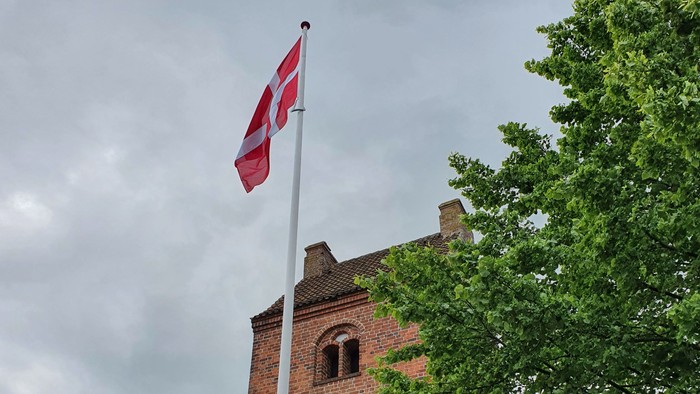 Dansk flag på tårn med træ