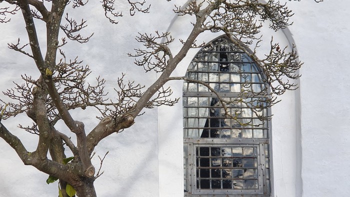 En skærmet vindue på et hvidkalket hus med en grenet træ foran