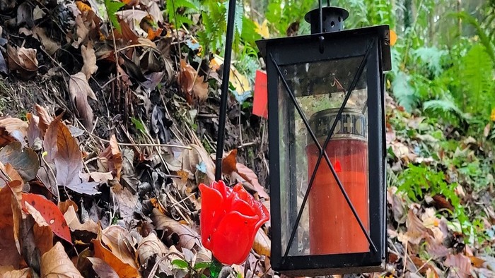 Ein schwarzer Laternenpfahl mit roter Kerze steht in einem Wald mit gefallenen Blättern.