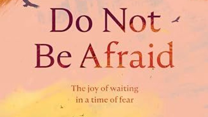 The cover of the book 'Do Not Be Afraid' by Rachel Mann, featuring a person standing on a hill with a colorful sky.